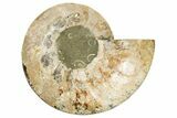 Cut & Polished, Agatized Ammonite Fossil (Half) - Madagascar #191590-1